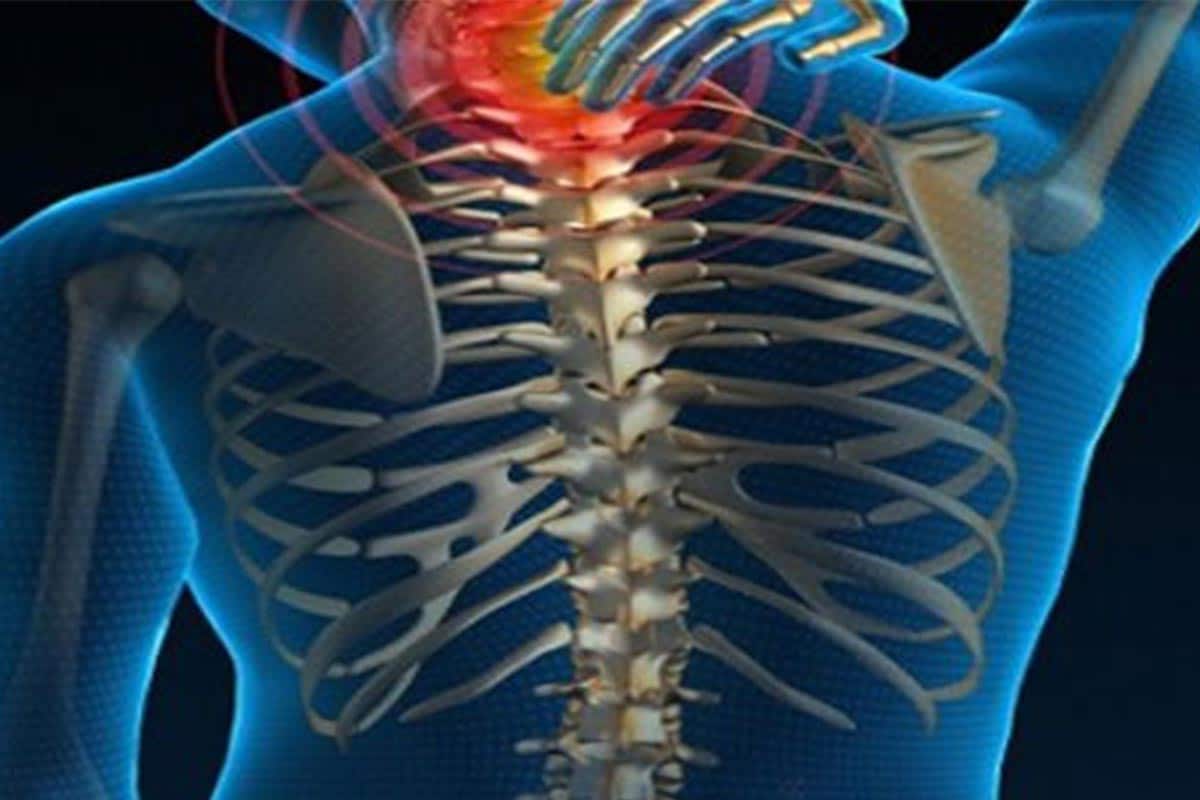 omurilik yaralanması, spinal kord yaralanması
